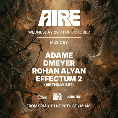 Adame, Dmeyer, Rohan Alyan, Effectum2